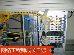 網(wǎng)絡(luò)工程師成長日記402 烏審旗某采氣廠項(xiàng)目實(shí)錄